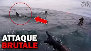 LA PIRE ATTAQUE De Requin | Cet Homme a Été DÉCHIRÉ VIVANT!