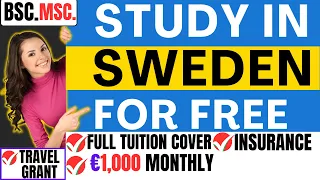 How to Apply for the Fully Funded Swedish Institute Scholarship 2024| Bachelors & Masters