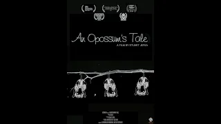 An Opossums Tale