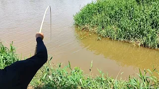 Peixe com mais de kg quebrou o anzol e quase quebrou a vara também! 😱