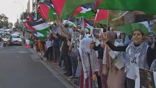 Kiwi Palestinians stage rallies across NZ protesting against Gaza violence