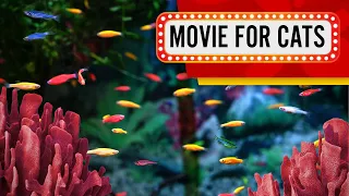 Movie for Cats - Colorful Fish (Videos for Cats to watch) 1 hour 4K