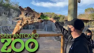 We Fed a Giraffe! | San Antonio Zoo | San Antonio, TX