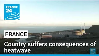 From agriculture to nuclear power: The impact of France’s heatwave • FRANCE 24 English