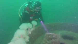 MV Alastor (Alisdair)  wreck  Ringhaddy, Co. Down, Northern Ireland