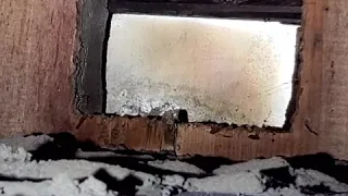 Let's Talk About Wood UNDER a Fireplace