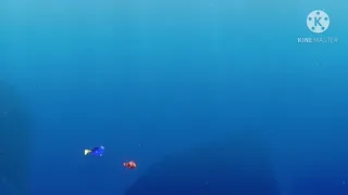 Finding Nemo - School of Moonfish