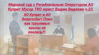 Мировой суд с РегиАнальным Оператором АО Куприт Мусор ТКО юрист Вадим Видякин ч.23