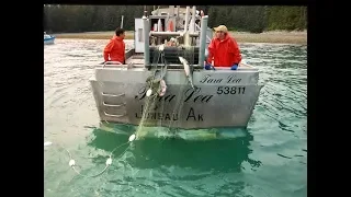 Southeast Alaska Commercial Salmon Fishing (deckhand edit)