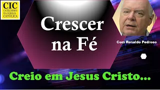 Catecismo da Igreja - § 422 a 429 - Na plenitude dos tempos o Pai nos enviou Jesus