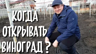 КОГДА ОТКРЫВАТЬ ВИНОГРАД???