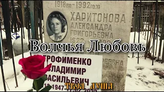 Могила Харитоновой Татьяны | Волчья Любовь✞ Уборщик могил ✞ Твоя Душа ✞ #уборкамогил #россия#viral