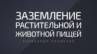 Заземление растительной и животной пищей. Александр Палиенко.