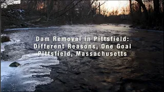 Dam Removal in Pittsfield