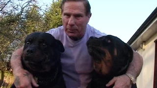 Roy Shaw & His Rottweilers - Interview Liam Galvin