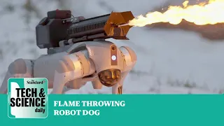 The flame-throwing robot dog named Thermonator for sale in America ...Tech & Science Daily podcast