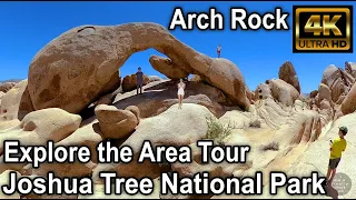 Exploring Arch Rock Area - Joshua Tree National Park, California - 4K Virtual Walk Tour