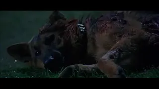 bad moon (1996) - thor pushes the werewolf out the window