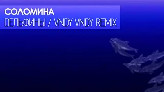 Соломина - Дельфины (Vndy Vndy Remix) Lyric Video