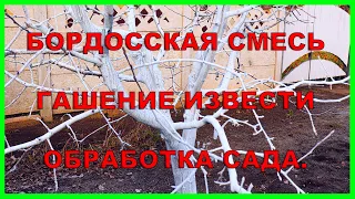 Бордосская смесь  Гашение извести  Обработка сада