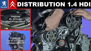 Moteur 1.4 HDi DV4TD: Échange des courroies et dépose du groupe motopropulseur