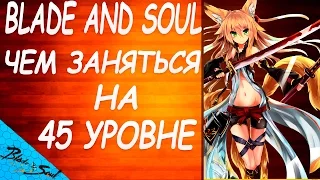 Blade and Soul - Чем заняться на 45 уровне (Не актуально)