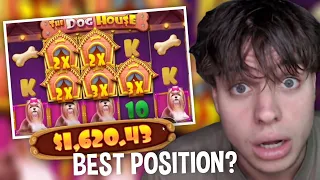 IS THIS A BEST POSITION ON DOG HOUSE? *HUGE WIN* 💸