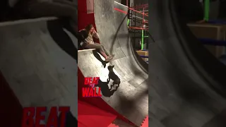 Ninja Warrior Dogs Fails