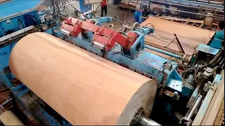 Amazing Modern Automatic Wood Processor Production Factory, Incredible Modern Wood Processing Lines