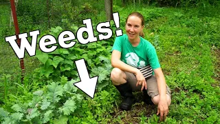 Top 5 Surprising Benefits of Having Weeds in Your Garden