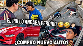 EL POLLO SE VA SIN AVISAR Y SE PIERDE | ¿ QUE AUTO COMPRE ? | MarkitosTOYS