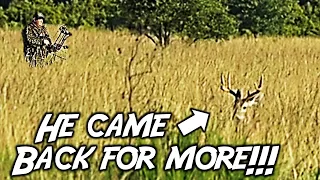 BUCK DOWN and BUCKS EVERYWHERE! South Florida deer hunting RUT ACTION...(SNS 2021 #4)