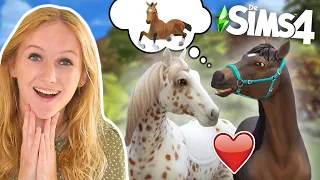 Mijn eigen VEULEN FOKKEN op de SIMS 4 met mijn paard! 😍🐴 *Serie*