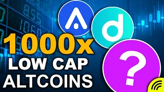 Top 3 1000X Altcoins (SUPER Low Cap Gems)