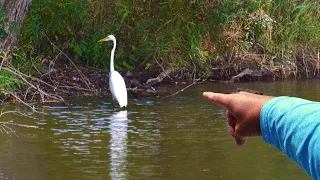 STOP Wasting Time Trying To FIND BASS