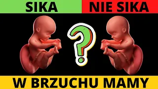 Czy dziecko sika w brzuchu mamy? 𝗢𝗱𝗽𝗼𝘄𝗶𝗲𝗱𝘇́ 𝗖𝗶𝗲̨.. 𝘇𝗮𝘀𝗸𝗼𝗰𝘇𝘆!😮 Sprawdź co się dzieje w brzuchu mamy!🤰