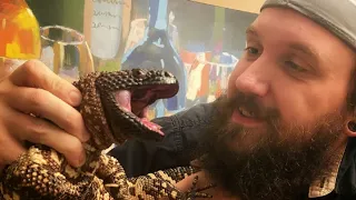 UNBOXING The MOST AGGRESSIVE VENOMOUS Lizard I Have Ever Seen...