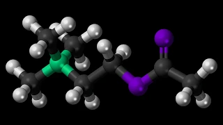 ∆° Acetylcholine Hz - C7H16NO2 - Nervous System Support - Isochronic Tones