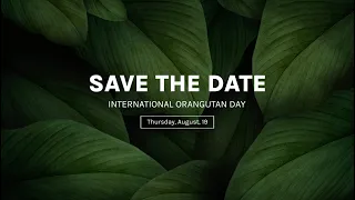 #ORANGUTANDAY – SAVE THE DATE!