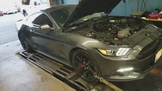 My Mustang GT 2017 with ford performance  Power pack 3 dyno Test
