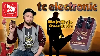 TC ELECTRONIC MojoMojo Overdrive - популярный гитарный овердрайв