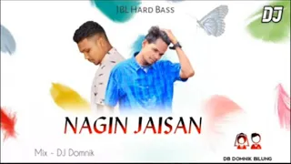 nagin jaisan // new Nagpuri song 2022 // DJ Arvind remix kawdu