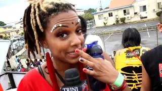 Bacchanal Jamaica Carnival Road March 2012 - Seg 5/6