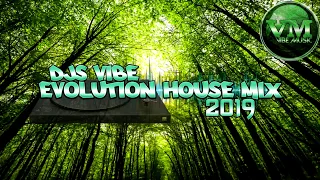 Djs Vibe - Evolution House Mix 2019