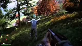 Прикольный баг Far Cry 4 птичка