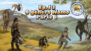 O gênero Homo (parte 1) | Série Evolução Humana | Ep. 13