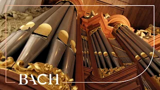 Bach - Aus tiefer Not schrei ich zu dir BWV 687 - Smits | Netherlands Bach Society