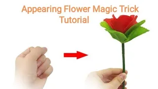 Appearing Flower Magic Trick Tutorial #shorts #games #how #comedy #shorts #how #reveal #LoveNotes