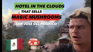 8$ Mountain Hotel in Mexico's Magic Mushroom Capital! 🇲🇽