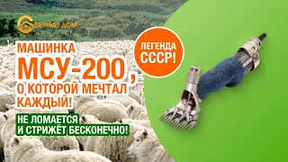 МСУ-200 неубиваемая советская машинка для стрижки овец. Краткий обзор + тест: стрижем грязную овцу